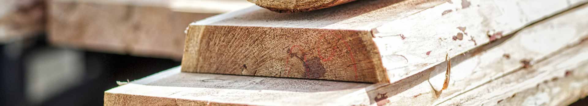 Holzbretter in verschiedenen Formen und größen als Kopfbild